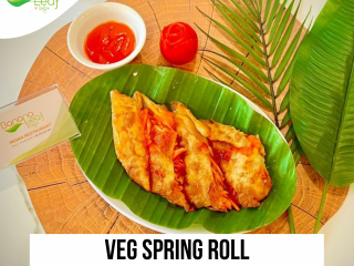 Veg Spring Roll